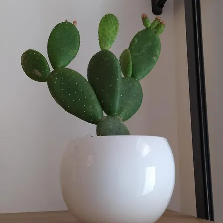 Adele Hébergement de vacances *